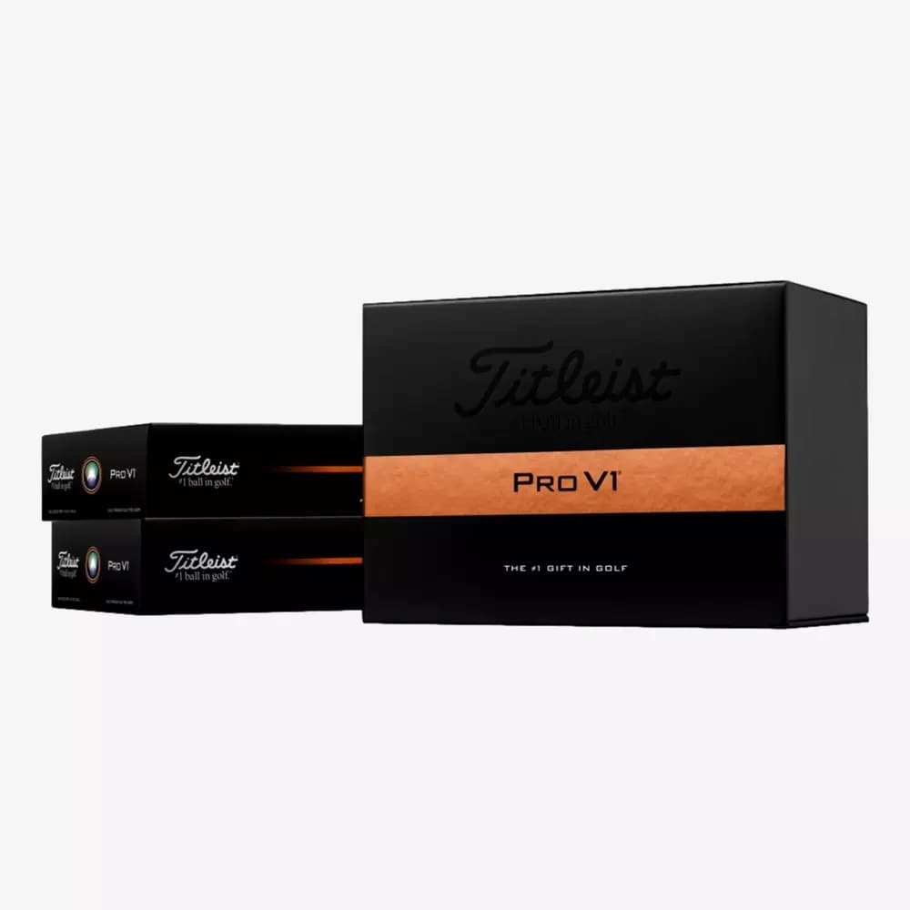 2 Dozen Titleist Pro V1 Golf Balls